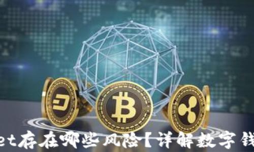 baiotitpWallet存在哪些风险?详解数字钱包的潜在隐患