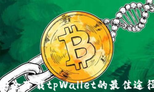 
安全下载tpWallet的最佳途径